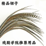 Qiao Hua Dan Wild Chicken Mao Duzi Natural Feath