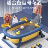 Бассейн для собачьего бассейна кот домашний живот петля