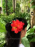 Гавайская юбка для травы стиль Fusang Цветочная голова украшения