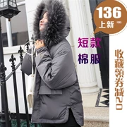 2018 mới Hàn Quốc phiên bản của xuống bông quần áo của phụ nữ thời trang đoạn ngắn lỏng kích thước lớn áo khoác bánh mì quần áo màu rắn bông áo khoác chống mùa