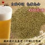 Домашнее пиво, ячменный солод, пшеничный солод, хмель, дрожжи и другое ячменное солодовое сырье. Пакет рецептов крафтового пива.