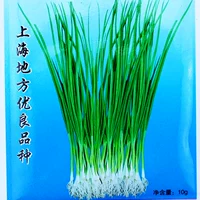 Шанхайские тонкие зеленые семена 10 г/сумка