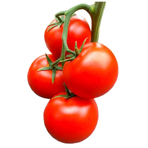 Каменные саженцы семян томатов Большие красные семена томатов большие саженцы с твердыми плодами, овощи, овощи, саженцы саженцы сажают саженцы