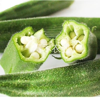 10 лучших саженцев на желтой барии