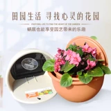 Али Севильский Полу закрученного цветочного кастрюли № 6-7 330 330 Алиса