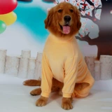 Собачья одежда в большой собаке Hascin Hastec Gold Maodrabrada Alaska Pets в осенней и зимней одежде