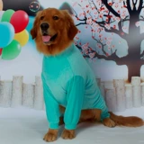 Собачья одежда в большой собаке Hascin Hastec Gold Maodrabrada Alaska Pets в осенней и зимней одежде