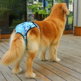 Pet сука физиологические штаны Женщины Собаки Менструальные протоки Большая собака