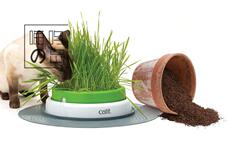 Другие 现货 加拿大catit猫草种植台 二代升级版 防滑【喵呜岛】