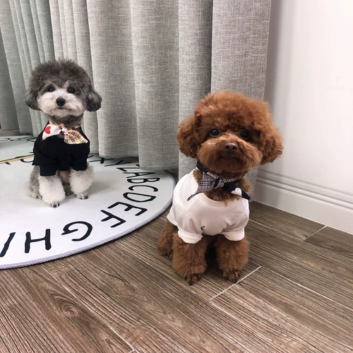 Семейство Nuomi Новый продукт Pet Cat Dog Photo Silk Scarf Camera net Red Love Два -колора плюшевых медведей Belobe Bears