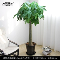 1,6-1,7 метра одиночный выстрел [черная нить фарфоровый горшок]