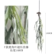 F Версия Horn Leaf Ultra -Long Vinging Vine 1,4 метра