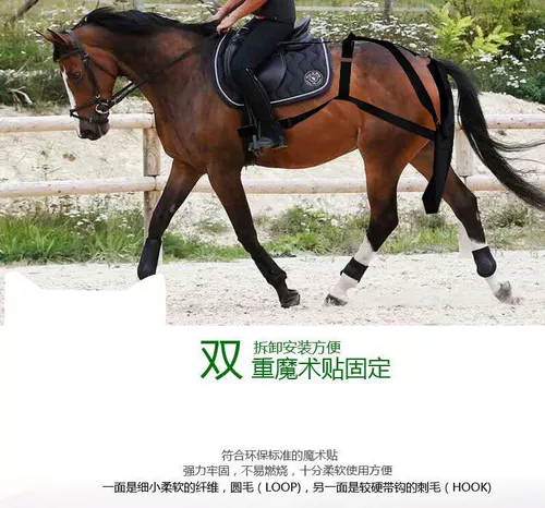 Лошади лошади в комнате для хершемы водонепроницаемы и легко вымывают лошадей, лошадей, навозка карманных мешков, городской конной пакет наверня