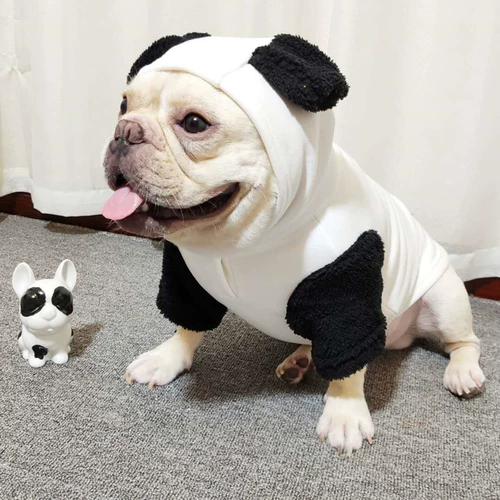 Собака маленькая и маленькая инуяр Шерина Фа Двоя одежда осень и зимний прилив мультфильм мультфильм мультфильм домашний животный сервер