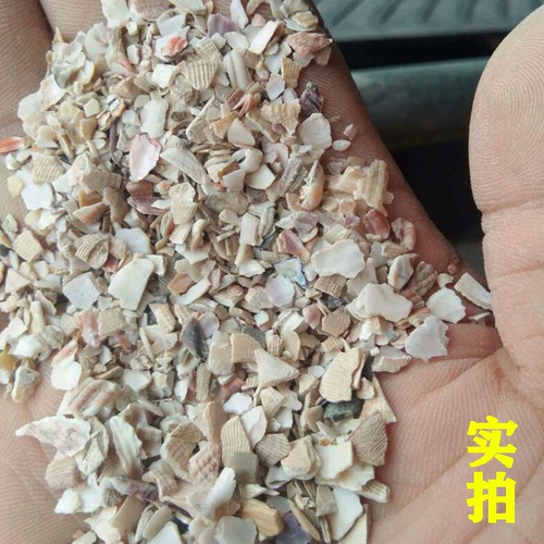 Натуральный высококачественный грубый порошок раковины, курица, утиные голубые голубы