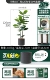 Vajrayana 125см дает PP PP Potted Gongshi Grey