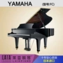 Đàn piano nhập khẩu Nhật Bản Yamaha Yamaha FC grand piano - dương cầm 	giá 1 cây đàn piano điện	