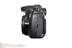 95 phụ kiện gốc Canon EOS60D nửa thân máy cổ điển mới có thể được trang bị bản đồ vật lý của ống kính - SLR kỹ thuật số chuyên nghiệp máy ảnh fujifilm xt100 SLR kỹ thuật số chuyên nghiệp