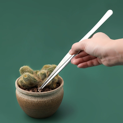 Ультра -полная сестра -In -Law сгущенная многофузольная круглая голова медицинская медицина Щещин и длинные рыбные аквариумы кормить рыбную зажиму водную траву для извлечения Nie Zi