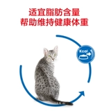 Boqi Royal Cat Food i27 Комната для кошачья корма для подбора рта кошка фана