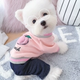Весна и осенняя собака для домашних животных с четырьмя легкими осенью Тедди Белль Бумея кошка кошка кошка кошка снежная одежда маленькие собаки зимой