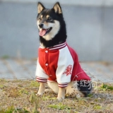 Чай улун Да Хун Пао, спортивная бейсбольная форма для отдыха, куртка, толстовка, с вышивкой