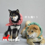 Японская тангао -паттерная Шиба Ину Леонгинг в маленький рюкзак