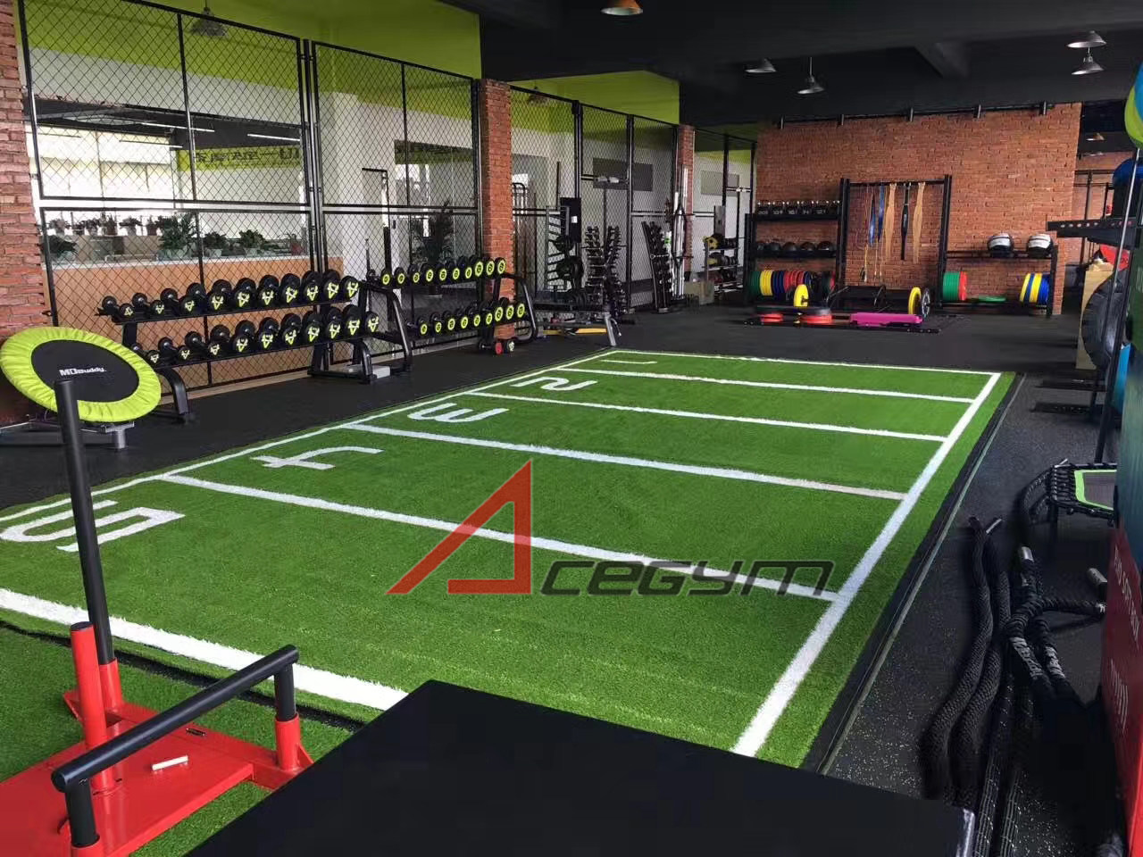 Фитнес жк цветы