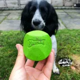 Petmate Pet Toy Cuckit Dog Super Bullet -Устойчивый кусающий резиновый мяч Monster Monte Monta