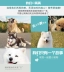 Thức ăn cho chó mục đích chung vừa và con chó lớn chó trưởng thành thực phẩm chủ yếu Jinmaosamo để xé dấu muối thấp thức ăn cho chó royal canin Chó Staples