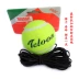 Tianlong Weilkang tennis huấn luyện viên sparring tennis đàn hồi cao kháng đen ban nhạc cao su cơ sở đào tạo bộ vợt wilson pro staff 2020 Quần vợt