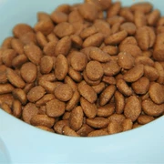 Búp bê thức ăn vật nuôi nhập khẩu đậu gạo Persian mèo mèo đặc biệt 500g thực phẩm với số lượng lớn hạt với số lượng lớn 30