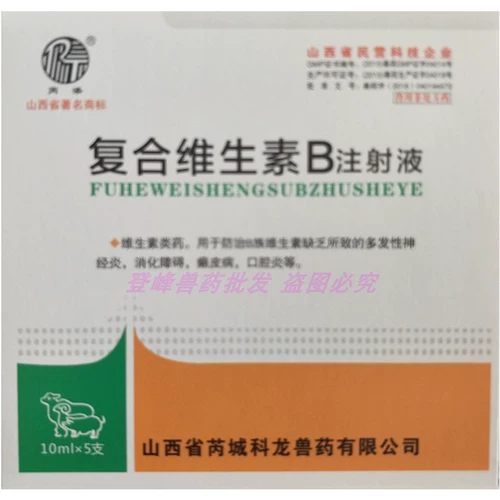 Композитный витамин В -впрыскивание жидкости В.Б.