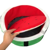 Летняя сад на пэт -собачье гнездо гнездо для арбуза