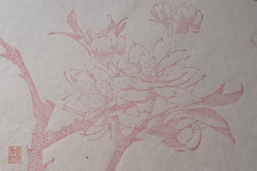 Qingyun Bi Club Xinyin Polyn Flower Notes Duo Yunxuan Wood Edition Watermark Dark Eight Element Newspletter Xuan Paper 2013 Печать в 2013 году