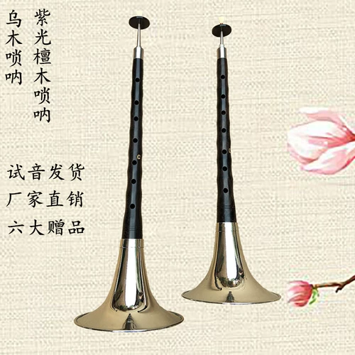 Высококлассные музыкальные инструменты для детей и взрослых для начинающих, маленький медный громкоговоритель, полный комплект
