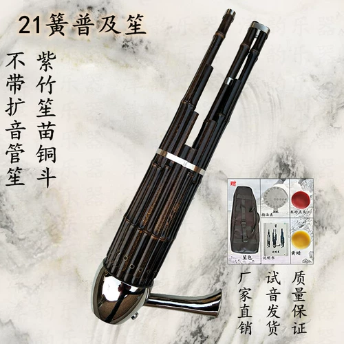 Hongsheng Sheng Музыкальный инструмент Daquan 21 весна популярность Professional Professional