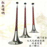 Музыкальные инструменты для детей и взрослых для начинающих, маленький медный мегафон для школьников, полный комплект