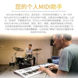 Профессиональный противовес, клавиатура, контроллер, 2018, новая коллекция, 61, 61 клавиш