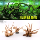 Рыба -аквариум Пандшафт украсите тонущую деревянную кучу Rhododendron корневой скелет ветви вьетнамцев 栖 鱼 鱼 鱼 鱼 鱼 鱼 鱼 鱼 鱼 鱼 鱼 鱼 鱼 鱼 鱼 鱼 鱼 鱼 鱼