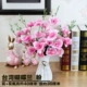 2 куча Тайваня Phalaenopsis Pink+Цветочная корзина