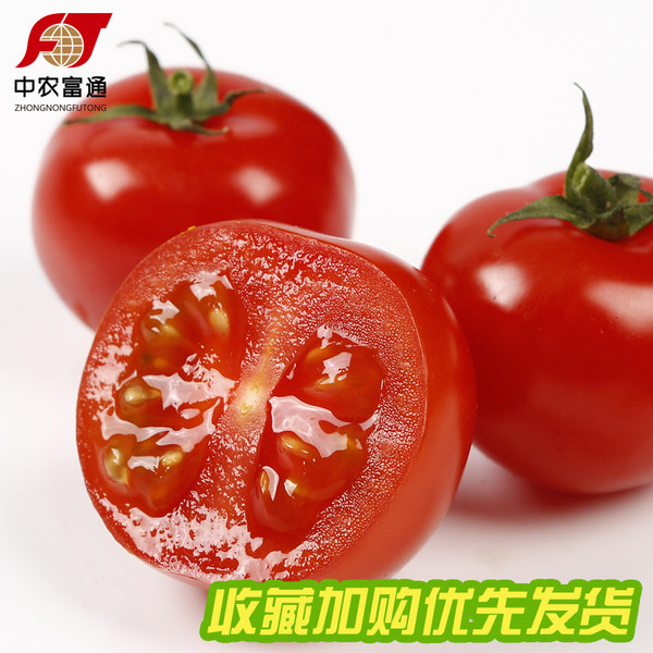中农富通 现摘新鲜 圣女果 小番茄 5斤装 淘宝优惠券折后￥24.9包邮（￥29.9-5）