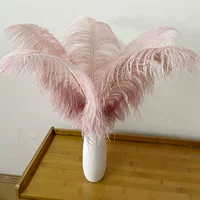 Старый порошок