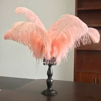 Румяна, 60-65см