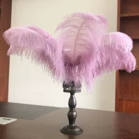 Сиреневый, 60-65см