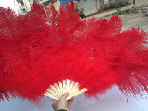 Выступление танца танца негабаритные фанаты -фанаты страуса страуса с большим фанатом Custom Multi -Color.