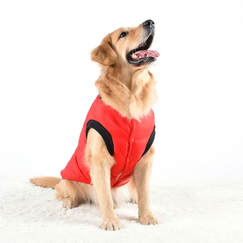 Большая собака домашняя одежда Новая золотистое ретривер.