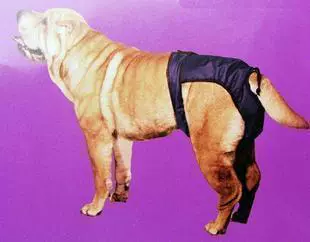 Физиологичные штаны, универсальная камуфляжная красная сумка