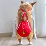 Физиологические штаны для собак, сука, менструальные штаны Корки, тетя, мелкие брюки по защите безопасности, чтобы предотвратить преследование контрацепции и спаривания