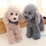 Mô phỏng Chó Teddy Dog Doll Poodle Đồ chơi sang trọng Chó búp bê Búp bê Quà tặng sinh nhật Cô gái - Đồ chơi mềm đồ chơi phát triển trí tuệ cho trẻ sơ sinh